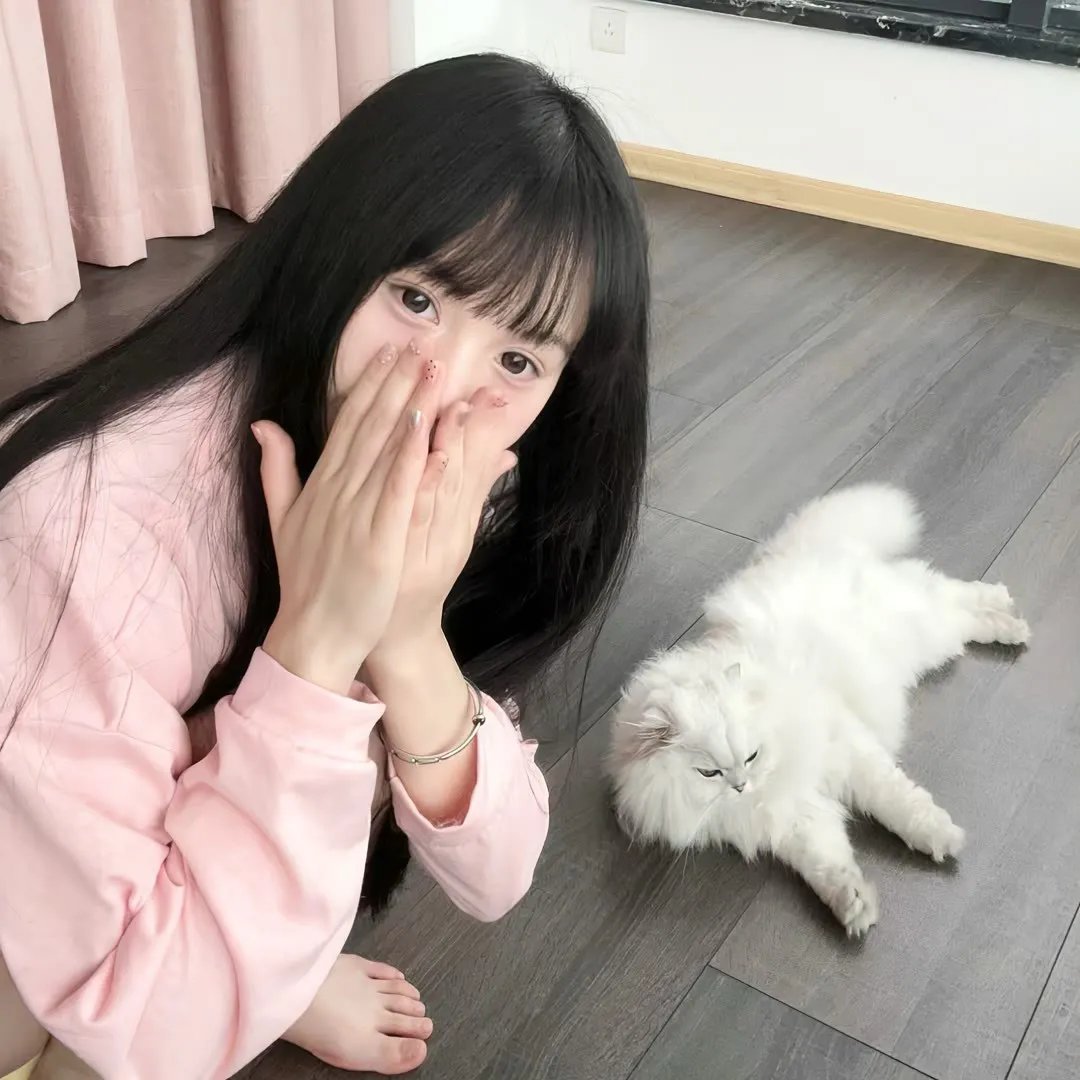 我的天才女友第二季